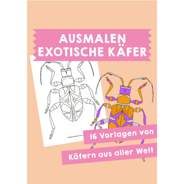 Exotische Käfer - Ausmalen