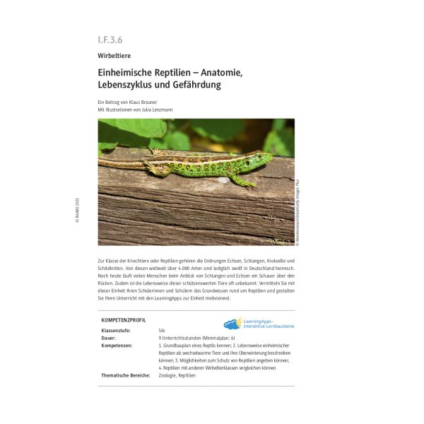 Einheimische Reptilien - Anatomie, Lebenszyklus und Gefährdung