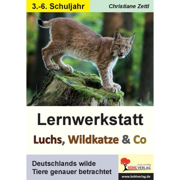 Luchs, Wildkatze und Co. - Lernwerkstatt
