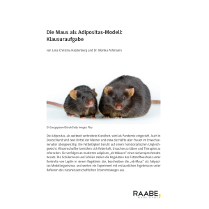 Die Maus als Adipositas-Modell: Klausuraufgaben