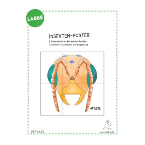 Insekten-Poster (Originalgetreu)