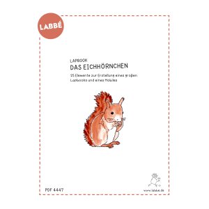 Lapbook Eichhörnchen